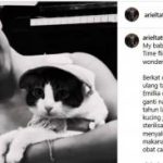 Ariel Tatum Tumpengan Rayakan Ulang Tahun Anak-Anak Kucingnya, Netizen Kagum –